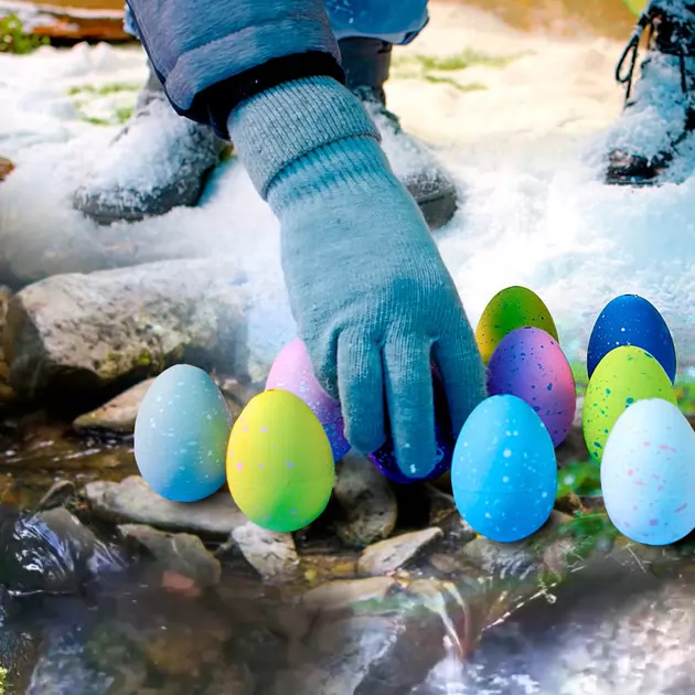 Растущая игрушка в яйце «Dino Eggs Winter» - Зимние динозавры