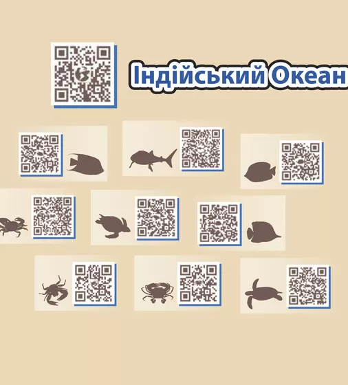 Обучающий Игровой Набор - Обитатели Индийского Океана - WIN1701_3.jpg - № 3
