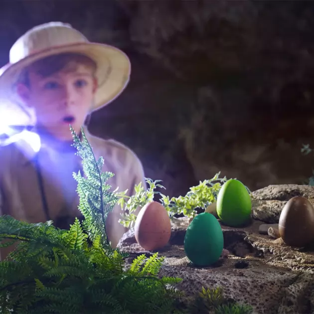 Растущая игрушка в яйце «Dino Eggs» - Динозавры неба, земли, моря