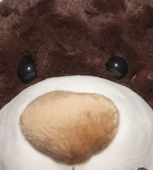 Мягк. игр. - МЕДВЕДЬ (коричневый, 48 cm) - 4801GMB_4.jpg - № 4