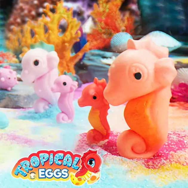 Растущая игрушка в яйце «Tropical Eggs» - Жители тропических морей (13 шт., в дисплее)