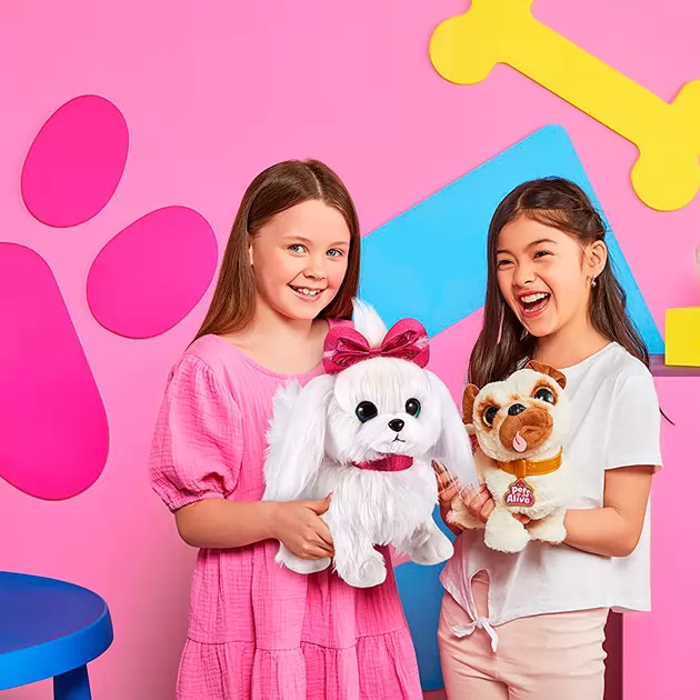 Интерактивный щенок Pets Alive - Лапуля