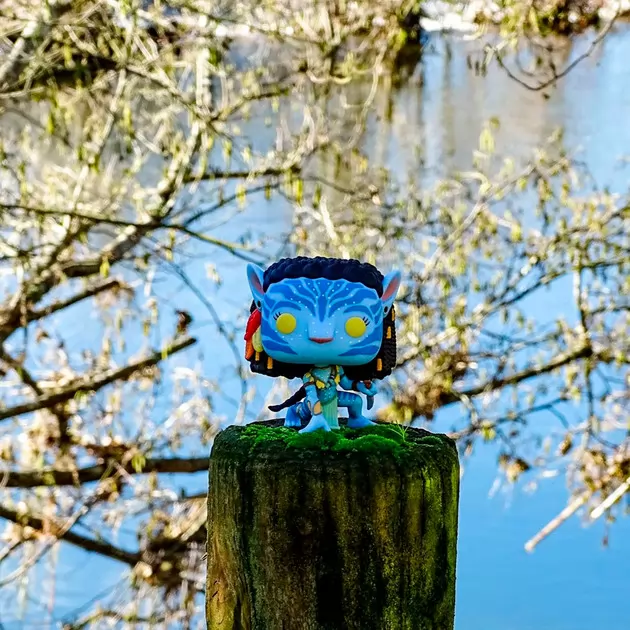 Игровая фигурка Funko POP! серии Аватар" – Нейтири"