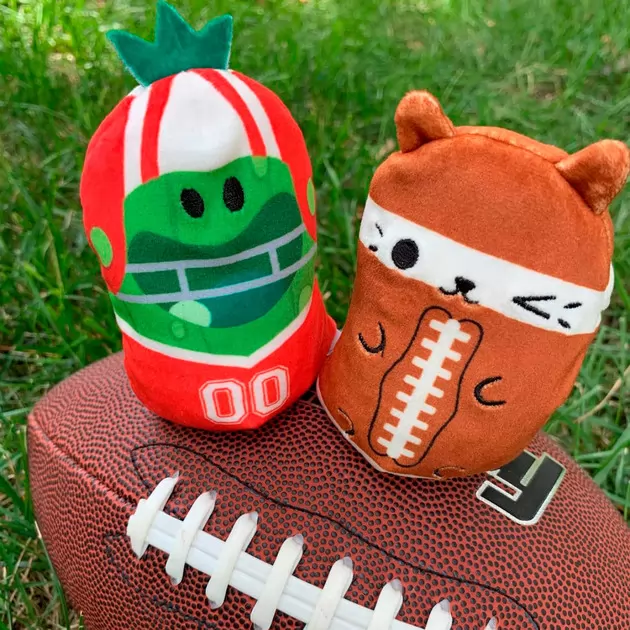 Мягкая игрушка Cats Vs Pickles 2 в 1 – Котик и огурчик Спортсмены