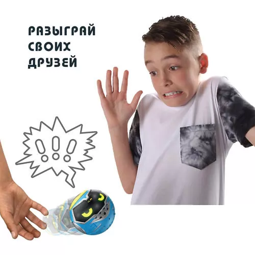 27801_5.jpg