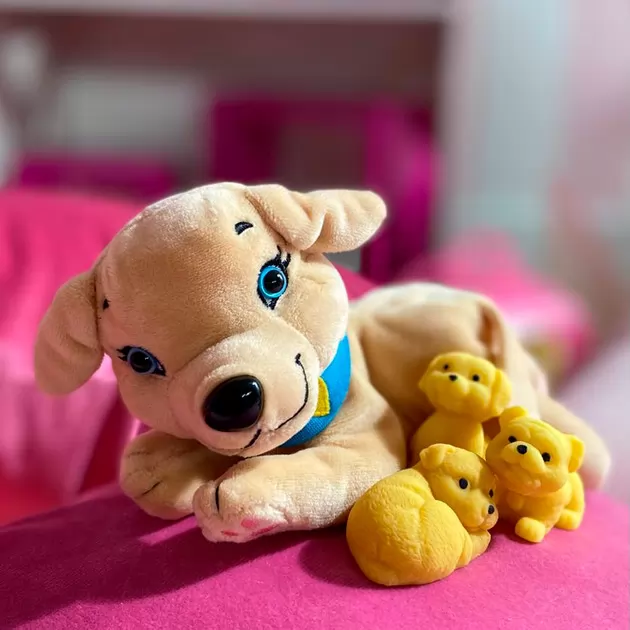 Мягкая коллекционная игрушка – Собачка мама с сюрпризом