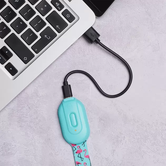 Закладка-фонарик Flexilight Rechargeable - Фламинго