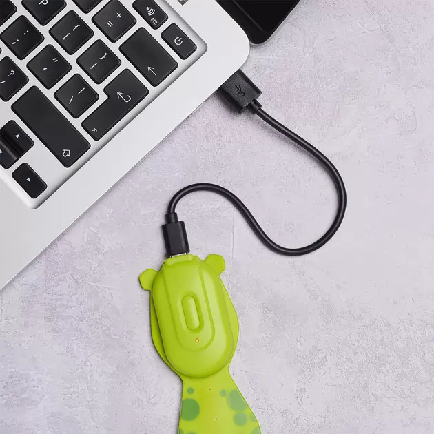 Закладка-фонарик Flexilight Rechargeable - Лягушка