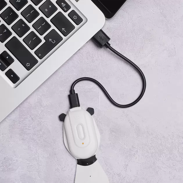 Закладка-фонарик Flexilight Rechargeable - Панда