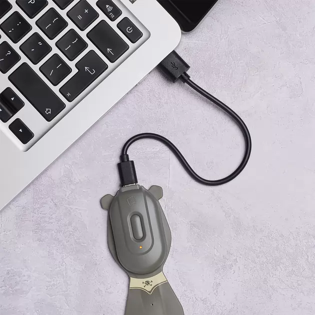 Закладка-фонарик Flexilight Rechargeable - Пират