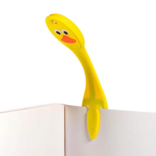 FLDK_4.jpg