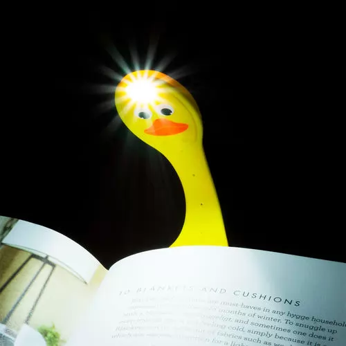 FLDK_6.jpg