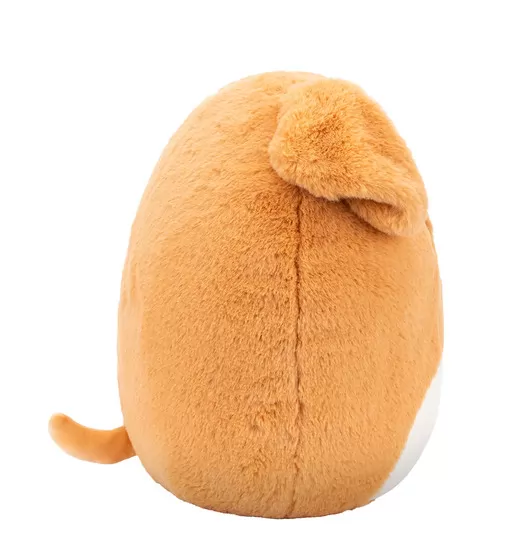 Мягкая игрушка Squishmallows – Лабрадор Стеван (30 cm) - SQCR00342_5.jpg - № 5