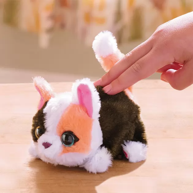 Интерактивная игрушка Furreal серии My Mini's – Маленький котенок