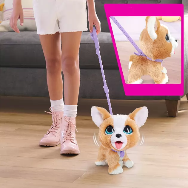 Интерактивная игрушка Furreal серии Poop-A-Lots - Корги