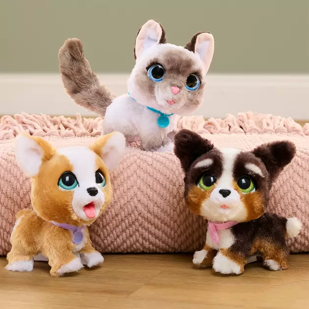 Интерактивная игрушка Furreal серии Poop-A-Lots - Корги