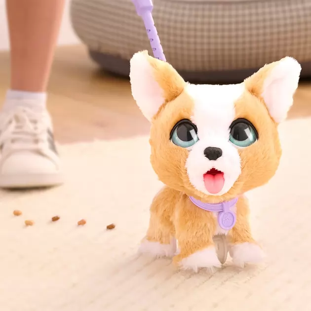 Интерактивная игрушка Furreal серии Poop-A-Lots - Корги