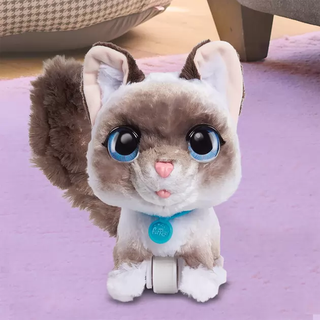 Интерактивная игрушка Furreal серии Wag-A-Lots - Котенок