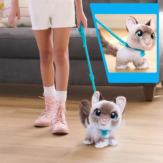 Интерактивная игрушка Furreal серии Wag-A-Lots - Котенок