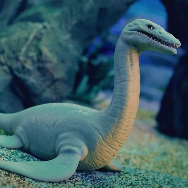Дисплей стретч-игрушек в виде животного Legend of animals – Морские доисторические хищники (12 шт.)