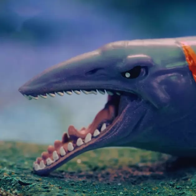 Дисплей стретч-игрушек в виде животного Legend of animals – Морские доисторические хищники (12 шт.)
