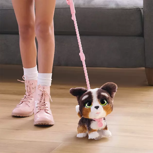 Интерактивная игрушка Furreal серии  Walk-A-Lots - Бернедудель