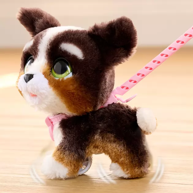 Интерактивная игрушка Furreal серии  Walk-A-Lots - Бернедудель