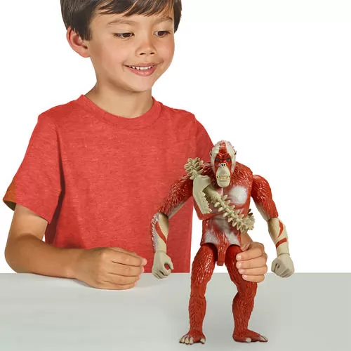 35553_2.jpg