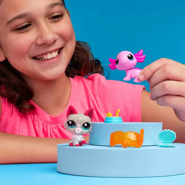 Игровой набор Littlest Pet Shop – Удивительные Дивы