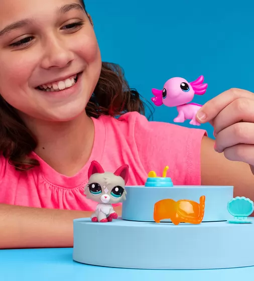 Игровой набор Littlest Pet Shop – Удивительные Дивы - 00527_4.jpg - № 4