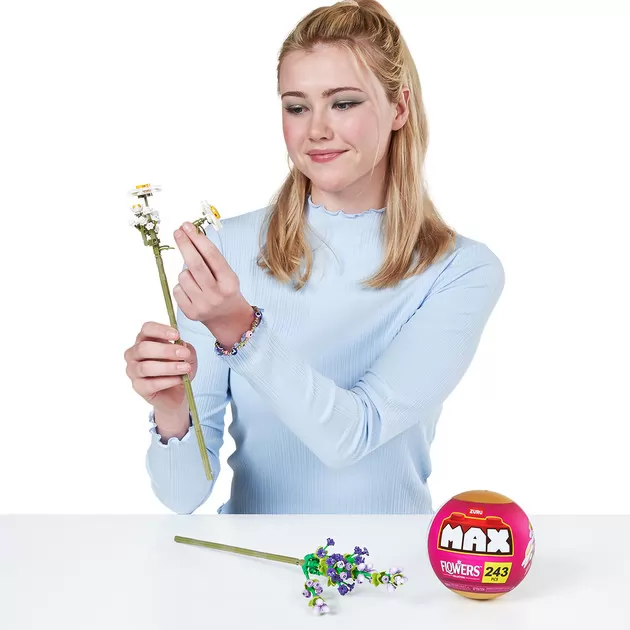 Конструктор в капсуле Max S1 – Садовые цветы