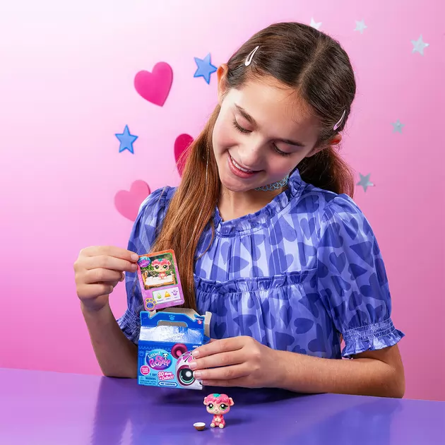 Игровая фигурка Littlest Pet Shop S3 - Питомцы
