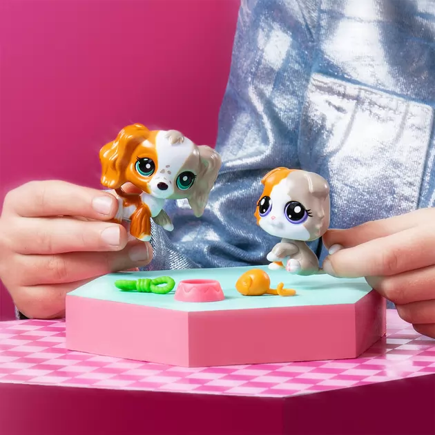 Игровой набор Littlest Pet Shop - Друзья-двойники