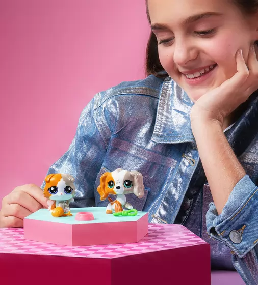 Игровой набор Littlest Pet Shop - Друзья-двойники - 00626_6.jpg - № 6