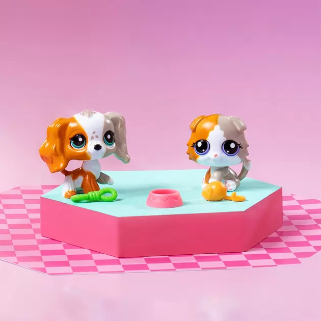 Игровой набор Littlest Pet Shop - Друзья-двойники