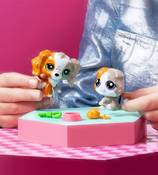 Игровой набор Littlest Pet Shop - Друзья-двойники - 00626_5.jpg - № 5