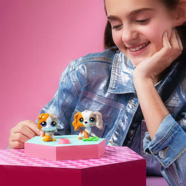 Игровой набор Littlest Pet Shop - Друзья-двойники