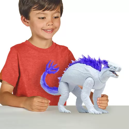 35554_3.jpg