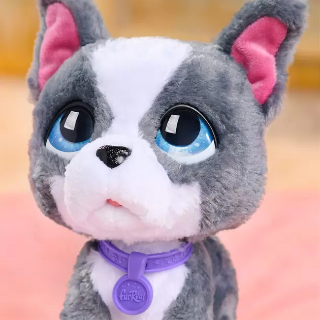 Интерактивная игрушка Furreal серии Walk-a-Lots" – Французский бульдог"