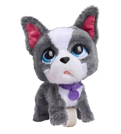 Интерактивная игрушка Furreal серии Walk-a-Lots" – Французский бульдог" - 28161_2.jpg - № 2