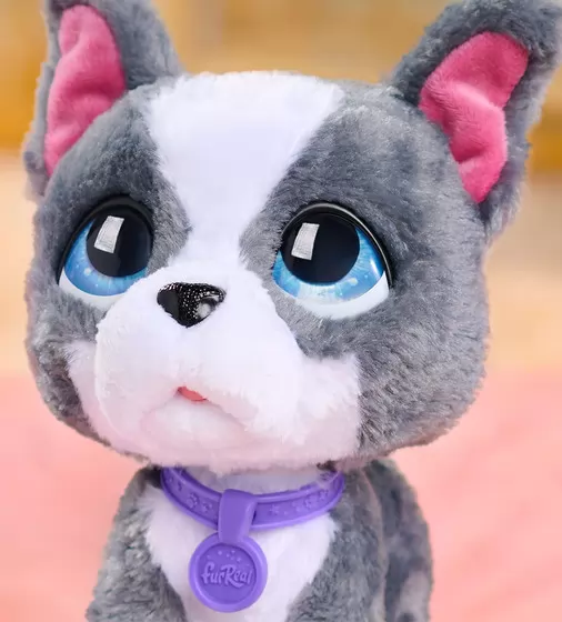 Интерактивная игрушка Furreal серии Walk-a-Lots" – Французский бульдог" - 28161_3.jpg - № 3
