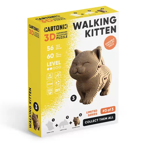 CARTMNWALK_1.jpg