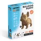 Puzzle 3D Szczeniak buldoga - CARTMNBULL_1.jpg - № 1