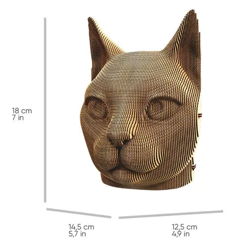 CARTCAT_5.jpg