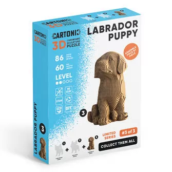 Puzzle 3D Szczeniak labradora