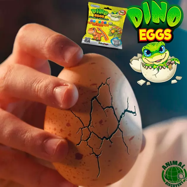 Растущая игрушка в яйце «Dino Eggs» -Динозавры (12 шт., в дисплее)